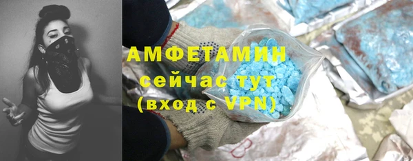соль ск Алзамай