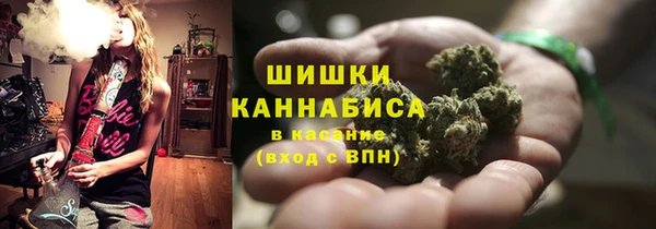 соль ск Алзамай