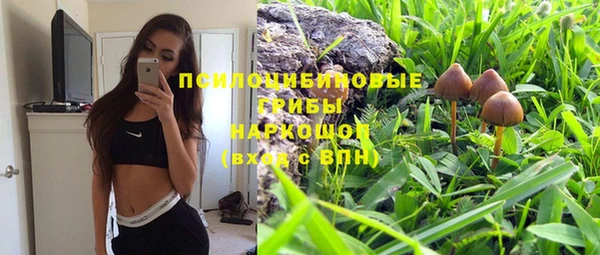 соль ск Алексин