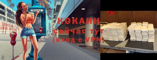 соль ск Алзамай