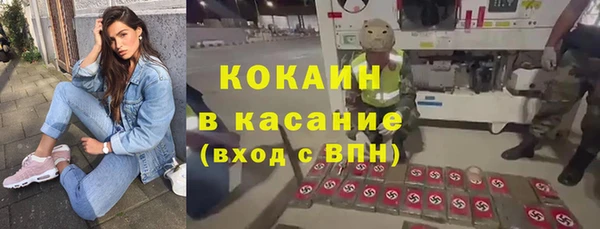 соль ск Алексин