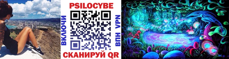 Псилоцибиновые грибы Cubensis Кемерово