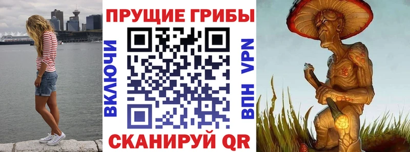 Псилоцибиновые грибы Psilocybe  Кемерово 